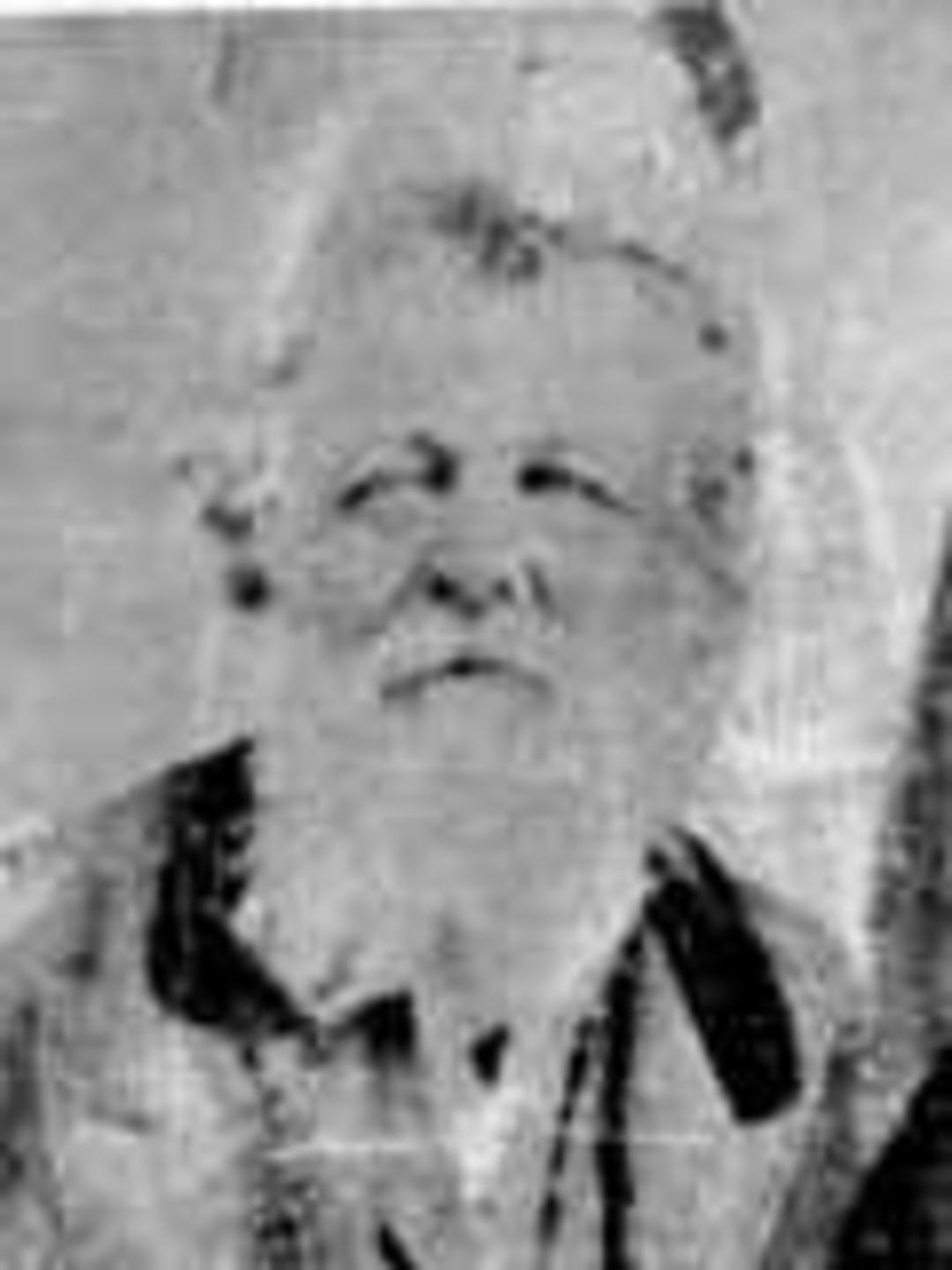 David George Stidham (1808 - 1879) Profile